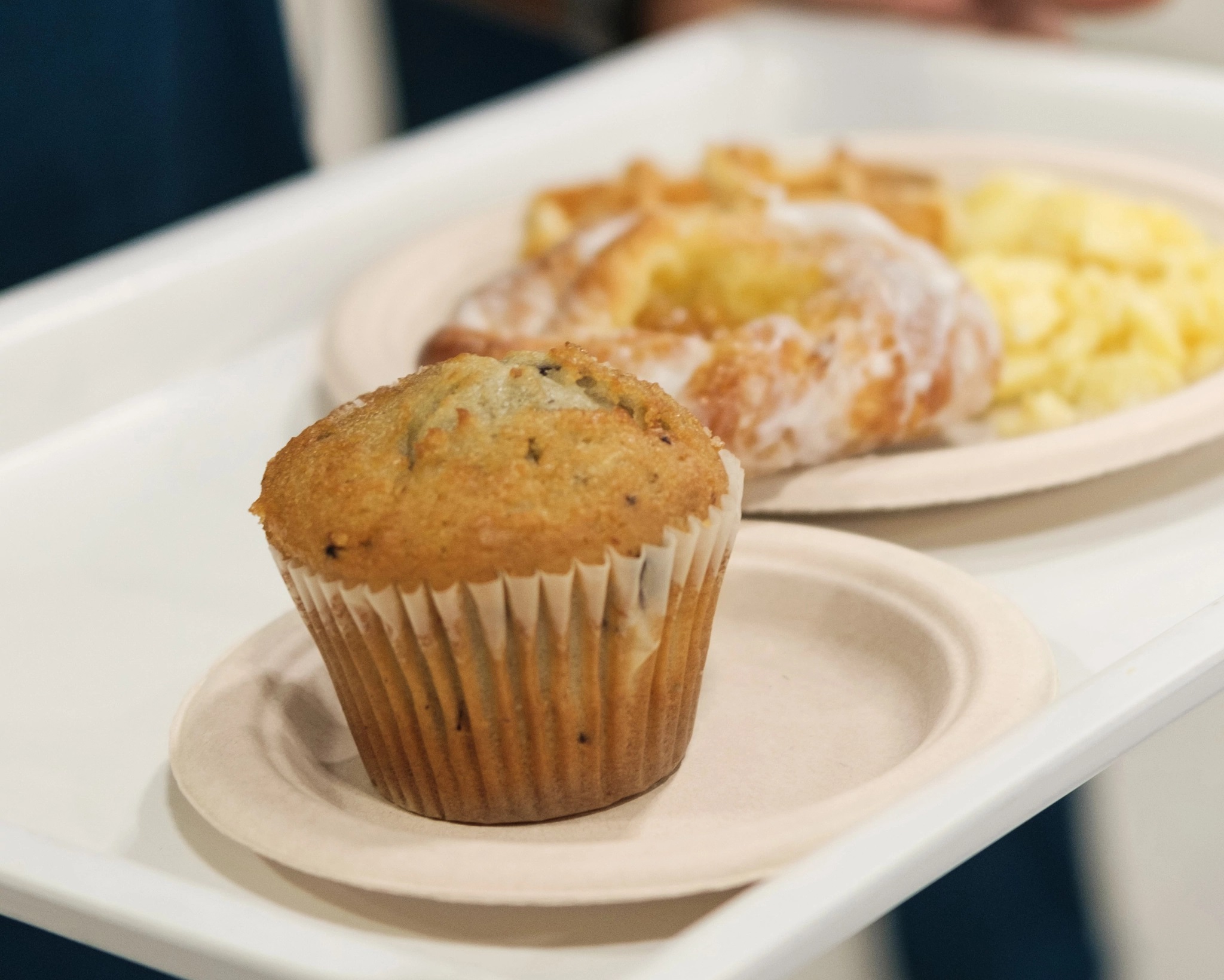 6FBRP1 Natural 6" Round Fiber  Plate - 1000 (8/125)